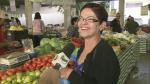 Pesquisadores da Esalq, em Piracicaba, desenvolvem variedade de tomate sem semente